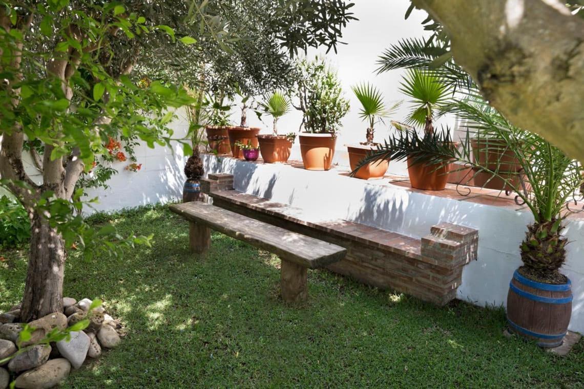 Espectacular Con Piscina En Conil Cl-5c Villa